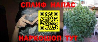 каннабис Кохма