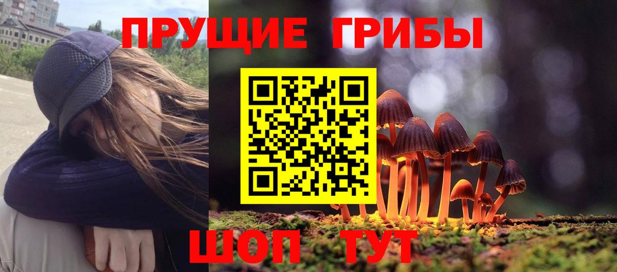 Зеленодольск  Псилоцибиновые грибы мицелий  Вход с VPN 